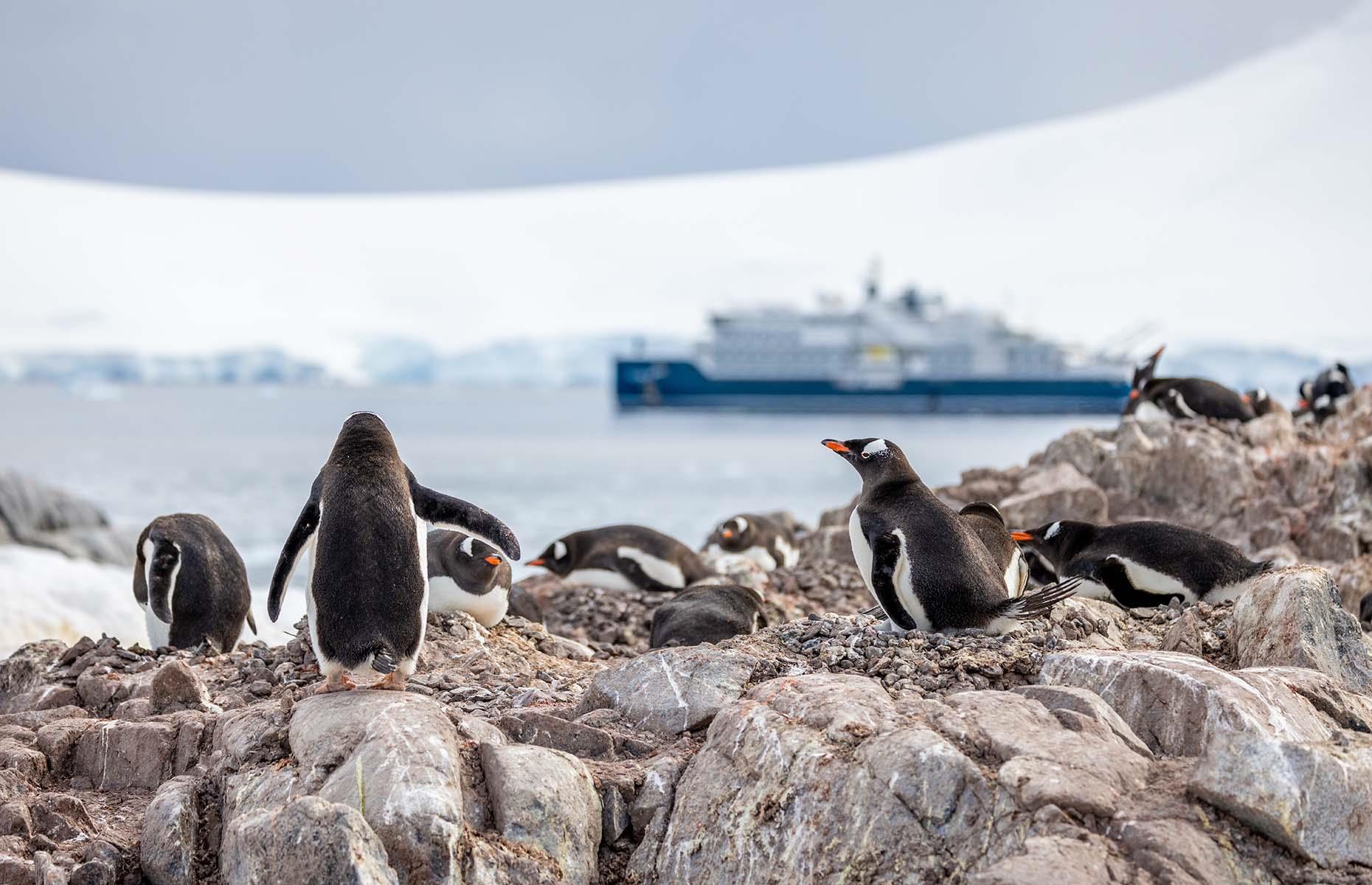 Antarctica